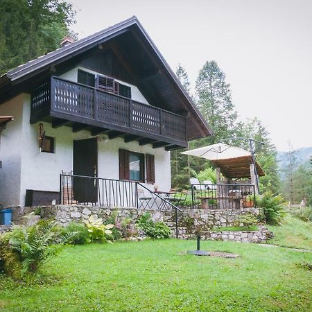 Naturalina Holiday House Gorenja Trebusa Luaran gambar