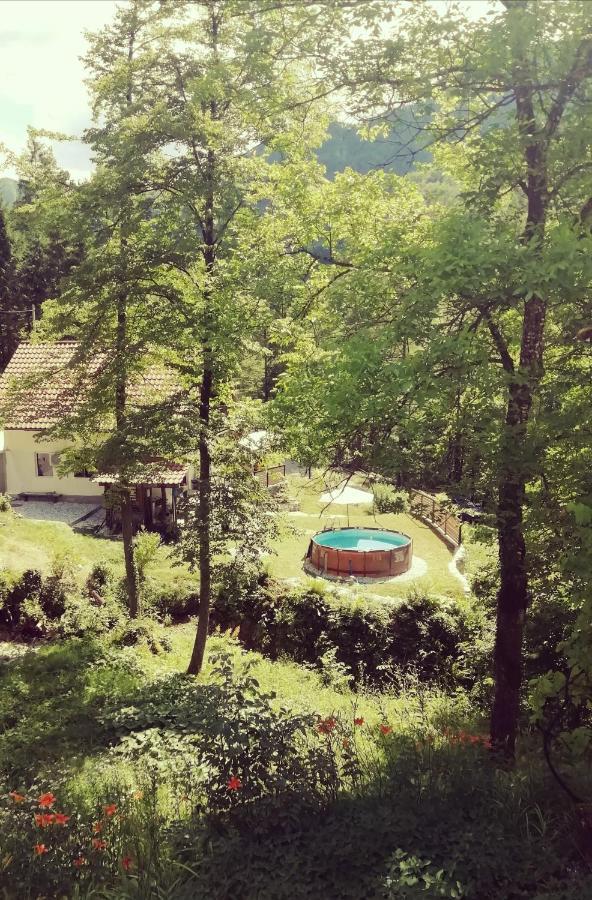 Naturalina Holiday House Gorenja Trebusa Luaran gambar