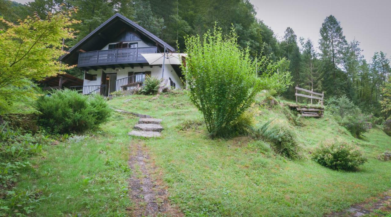 Naturalina Holiday House Gorenja Trebusa Luaran gambar