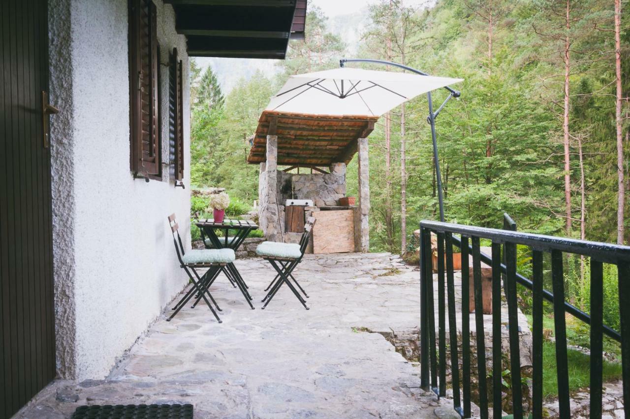 Naturalina Holiday House Gorenja Trebusa Luaran gambar