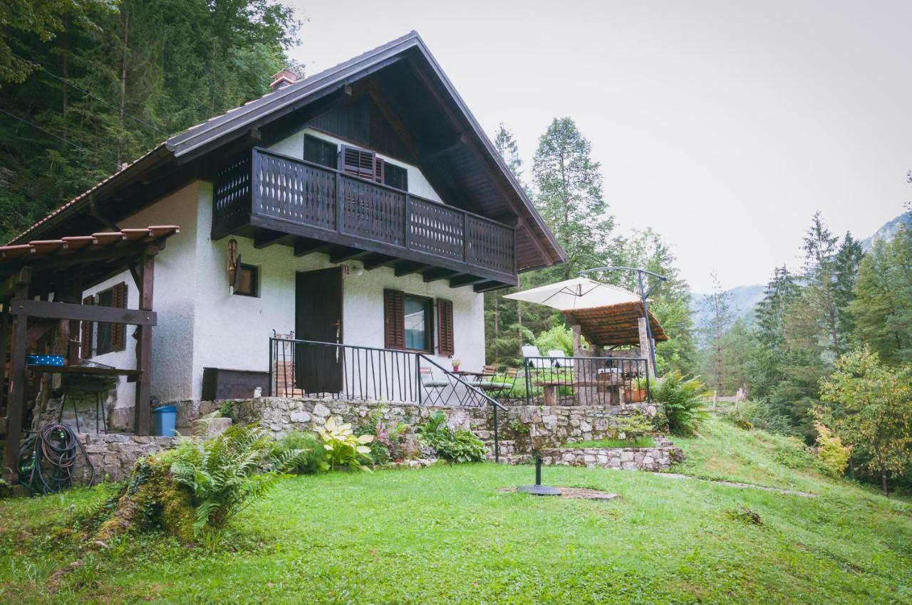Naturalina Holiday House Gorenja Trebusa Luaran gambar