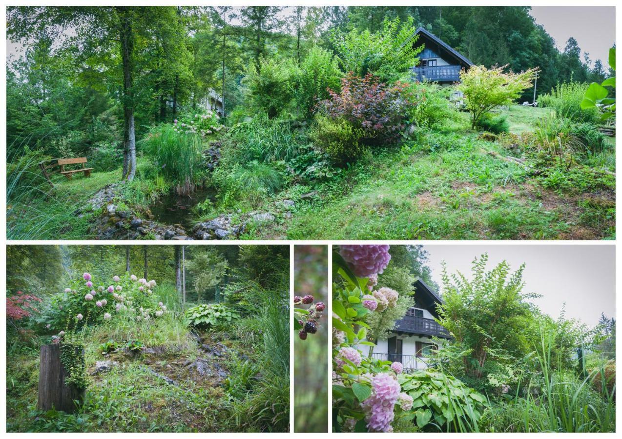 Naturalina Holiday House Gorenja Trebusa Luaran gambar